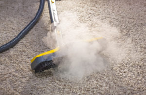 commercial steam cleaning machine