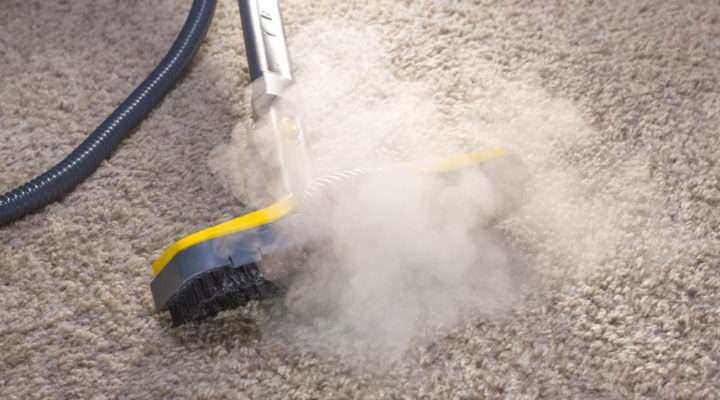 The Peregrine series dry vapor steamers can be great for any kind of cleaning project.